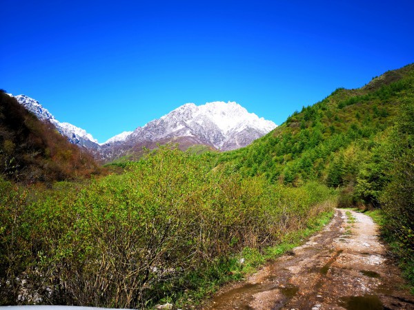 甘肃太子山国家级自然保护区管理局|太子山春夏秋冬景色组图(摄影类三