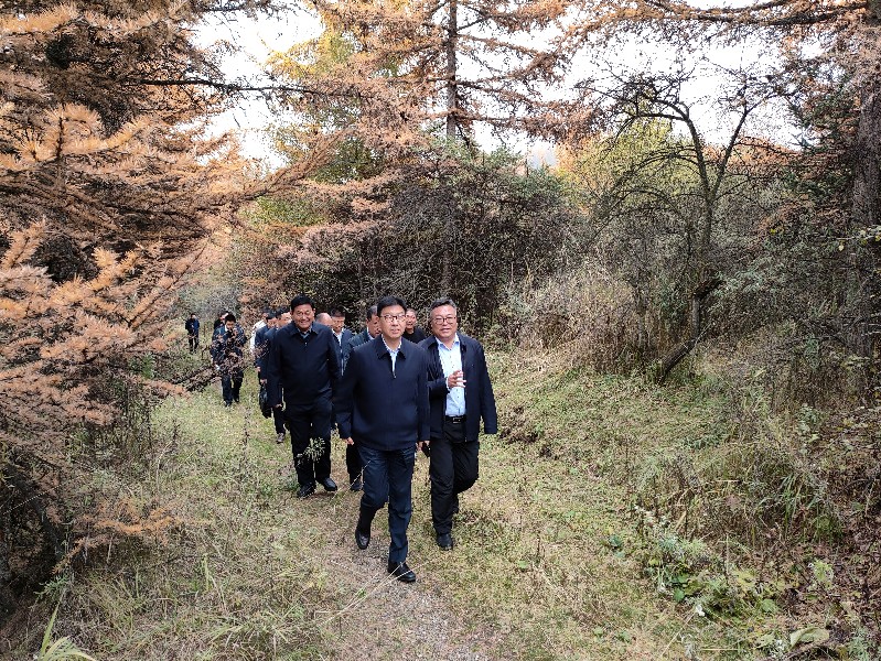 省委常委、副省长张锦刚一行到太子山国家级自然保…