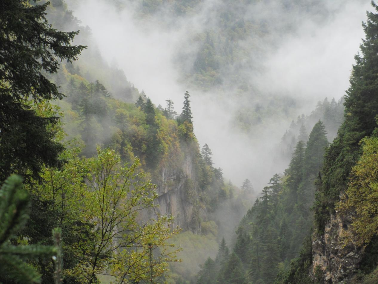 秋韵莲花山：自然与生命的诗意交响