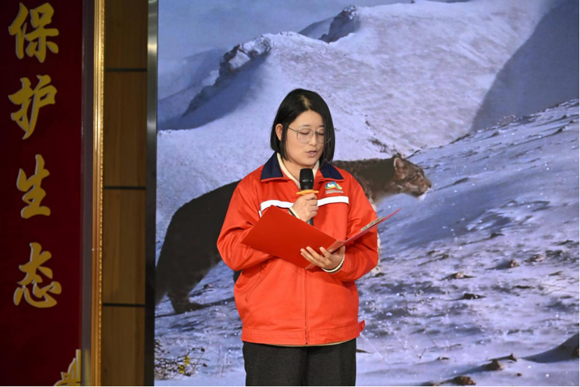 青山不语的守望