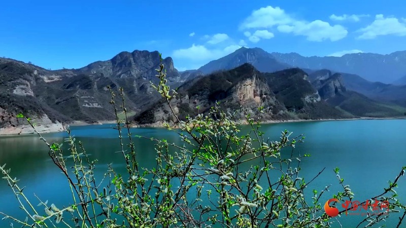 【陇拍客】太子山自然保护区大湾滩：多彩四季绘就…