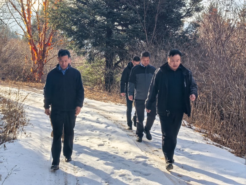 一林一长启新程 一巡一责护林安 ——莲花山管护中心副总林长深入沙河滩保护站开展巡林工作