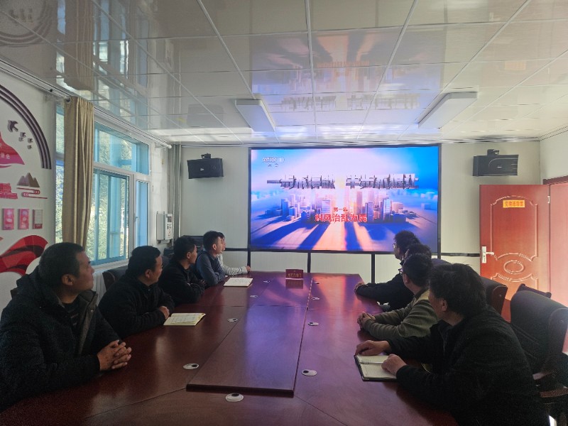 第三党支部开展纪律作风集中教育月主题党日活动