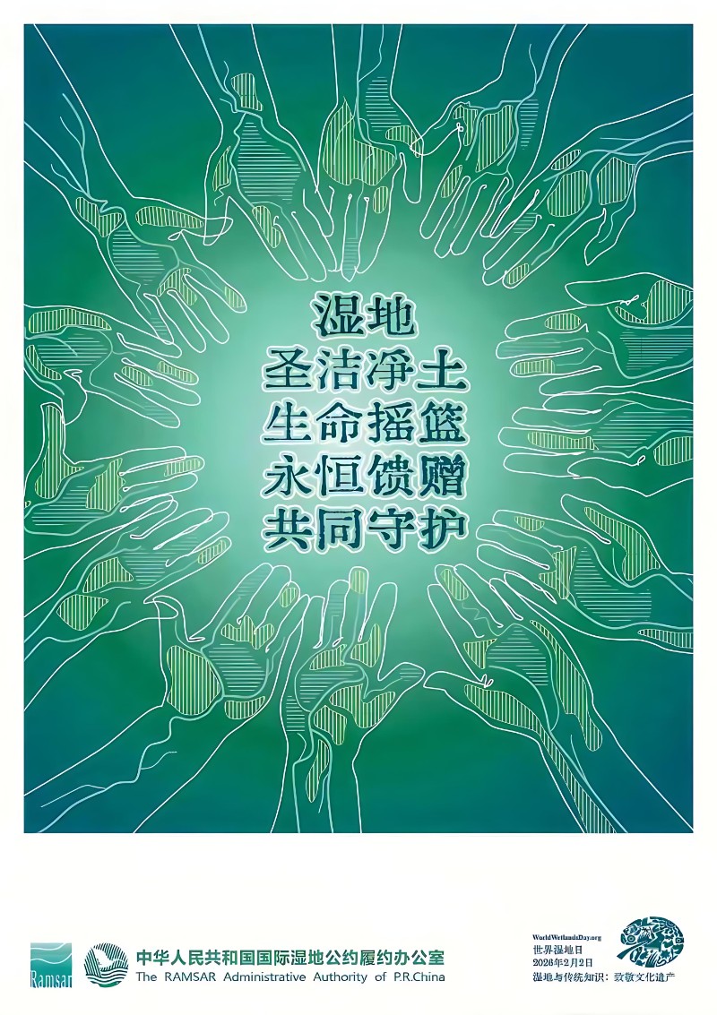 世界湿地日宣传海报