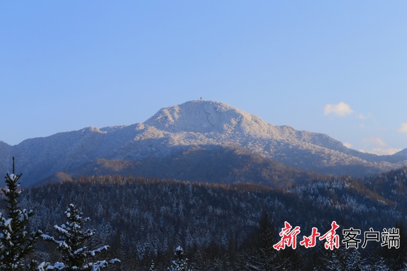 【新甘肃】深耕五绿绘新卷 守好生态护安澜——甘…