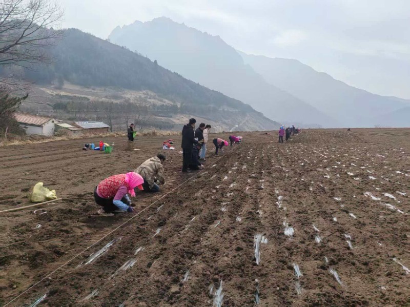 唐坊滩保护站开展森林防火宣传工作