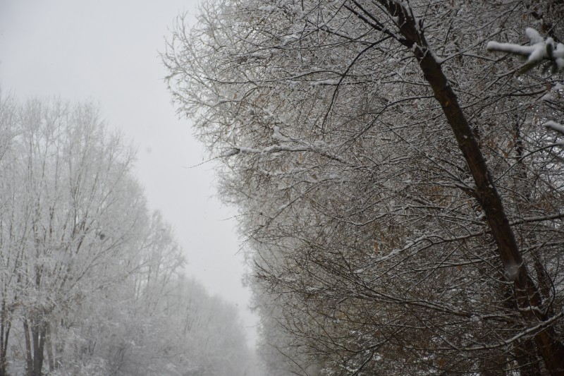  所有的蛰伏，都在等这一次苏醒