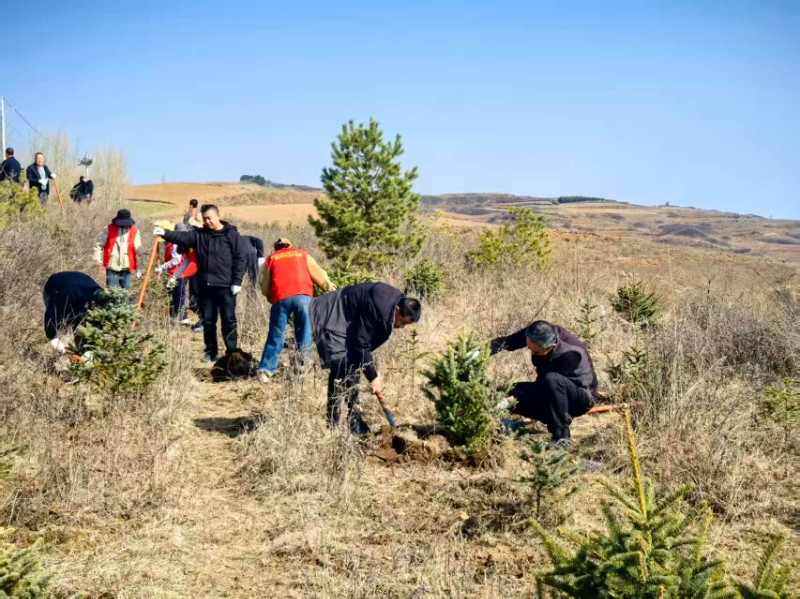 麻武保护站联合麻武乡政府开展义务植树活动
