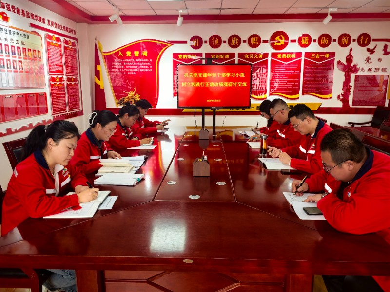 机关党支部召开年轻干部学习小组树立和践行正确政绩观研讨交流会