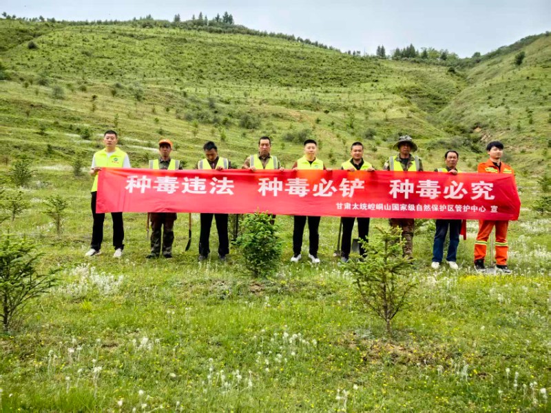 空地联动全覆盖   禁种踏查无死角——麻武保护站开展禁种铲毒专项踏查行动