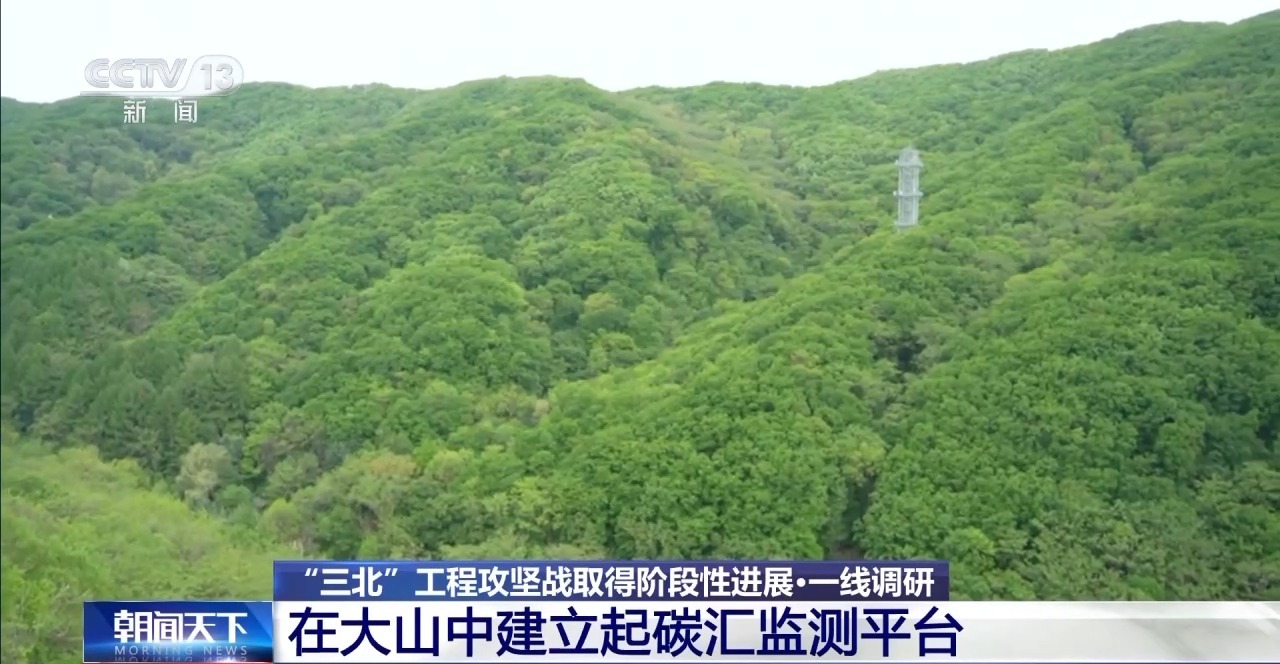 怎么用三座塔监测整片森林？“科尔塔群”模式了解一下
