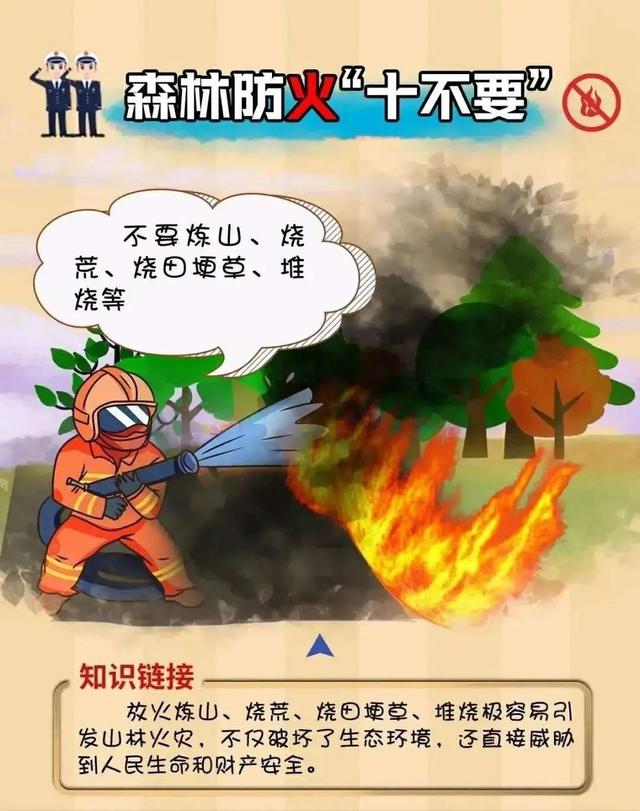 1635730871805190.jpeg 4.jpeg