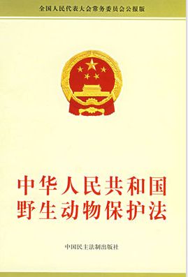 1637034358701265.jpeg 保护法.jpeg