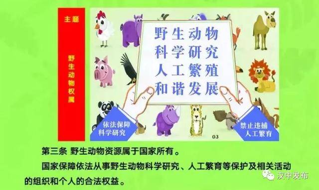 1637034414971482.jpeg 第三条.jpeg