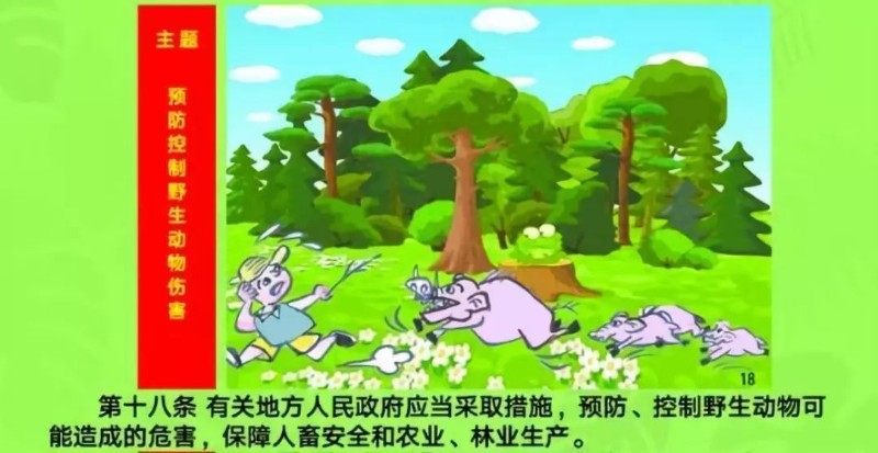 1637034647932558.jpeg 第十八条.jpeg