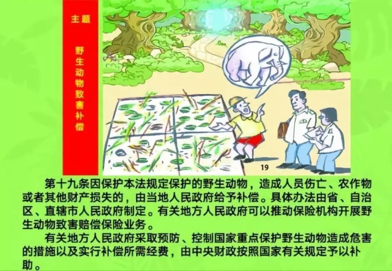 1637034683260300.jpeg 第十九条.jpeg