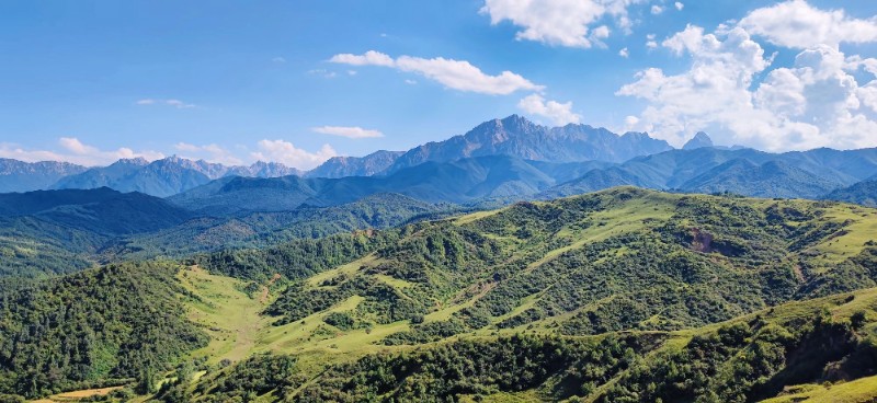 甘肃太子山国家级自然保护区管理局