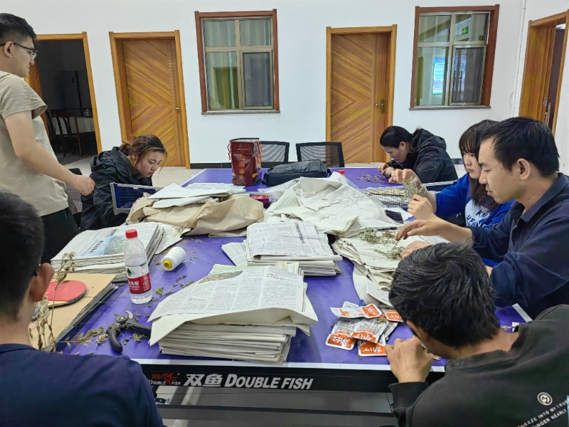 1694165062547722.jpg 种质资源2.jpg