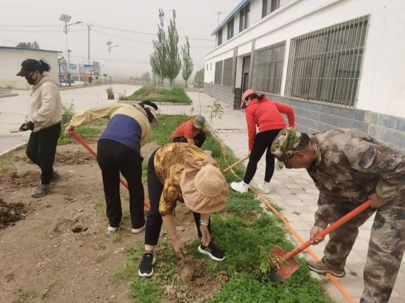 种一抹新绿  绘万物盎然1.jpg