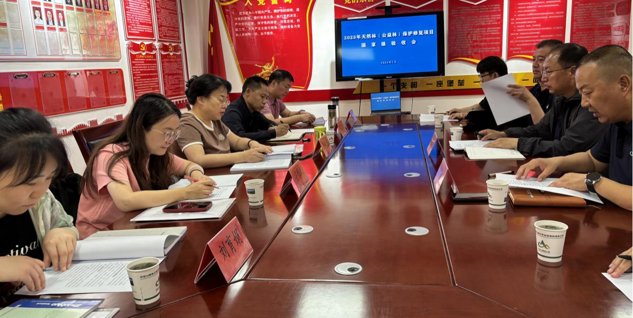 1720662085272932.png 图片1.png