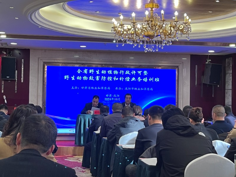 1729840065391289.jpg 培训1.jpg