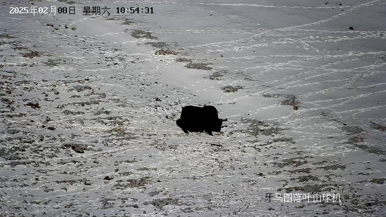 1739764272501395.png 图片1.png