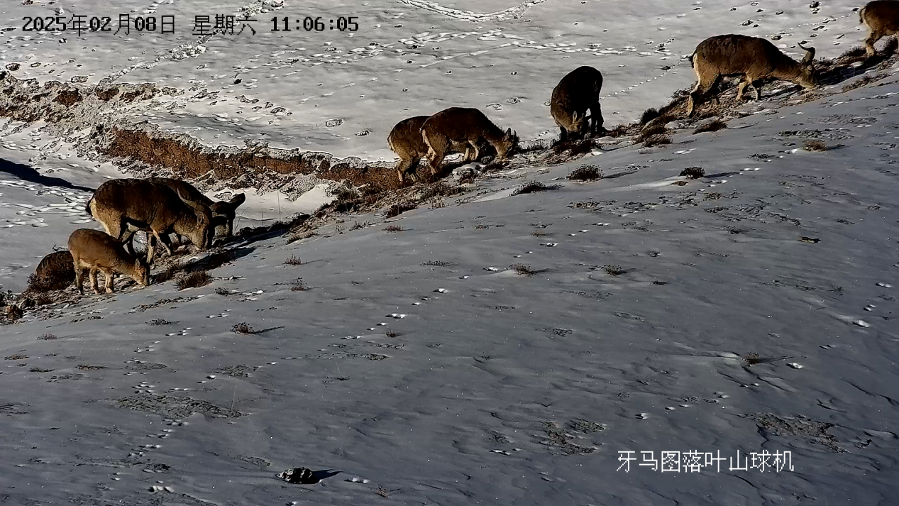 1739764306504245.png 图片2.png