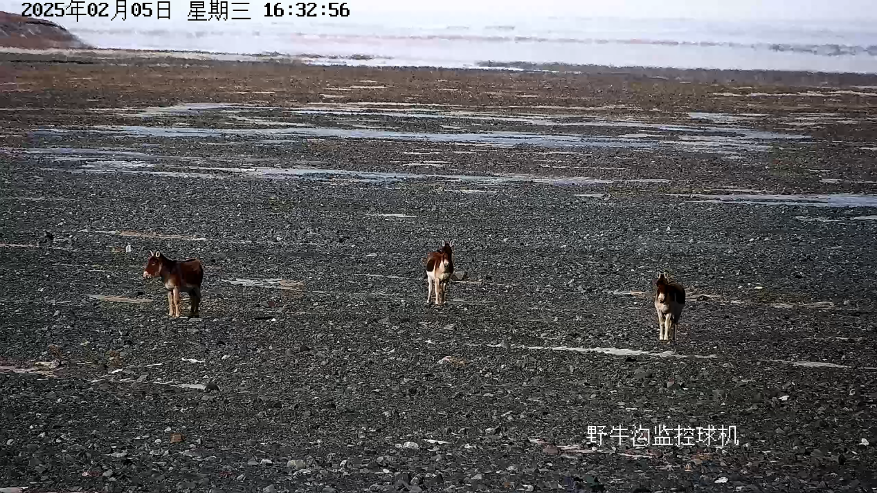 1739764381822971.png 图片4.png