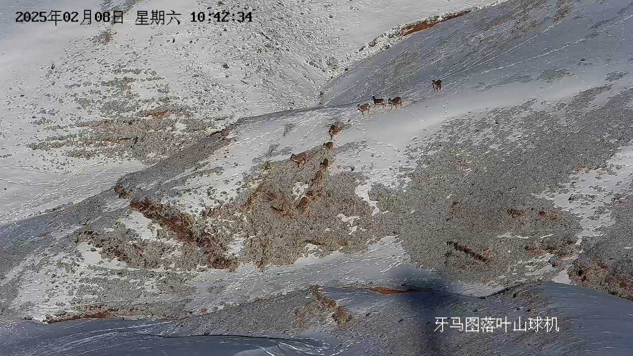 1739764462643128.png 图片6.png