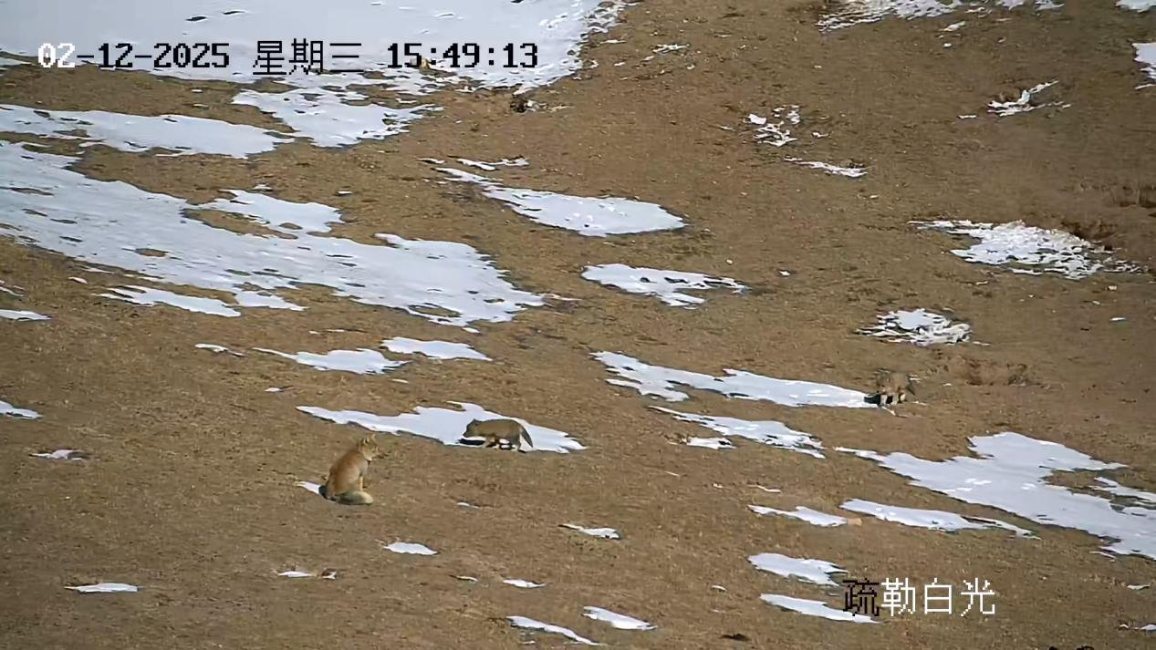 1739764563104421.png 图片9.png