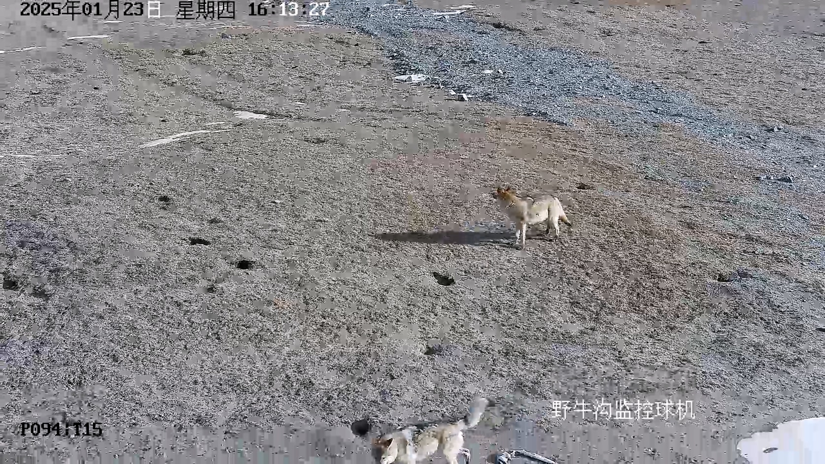 1739764598286084.png 图片10.png