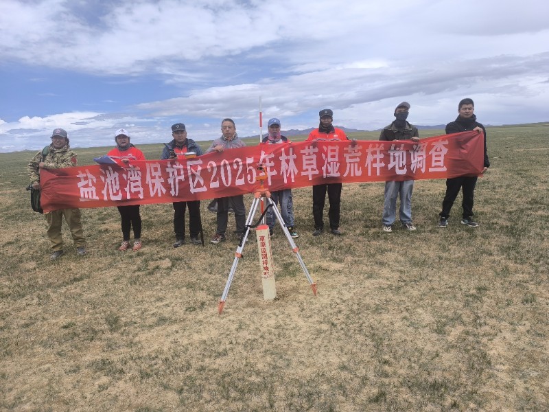 1753863841110556.jpg 疏勒保护站高效推进林草湿荒样地调查工作 (2).jpg