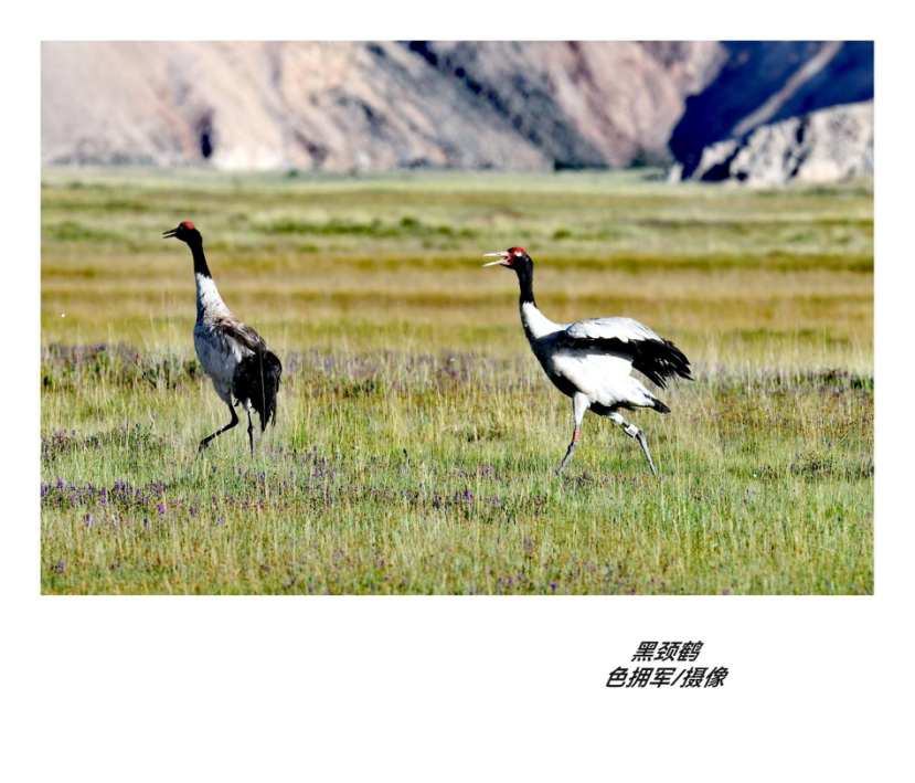 1755825120194634.png 图片1.png