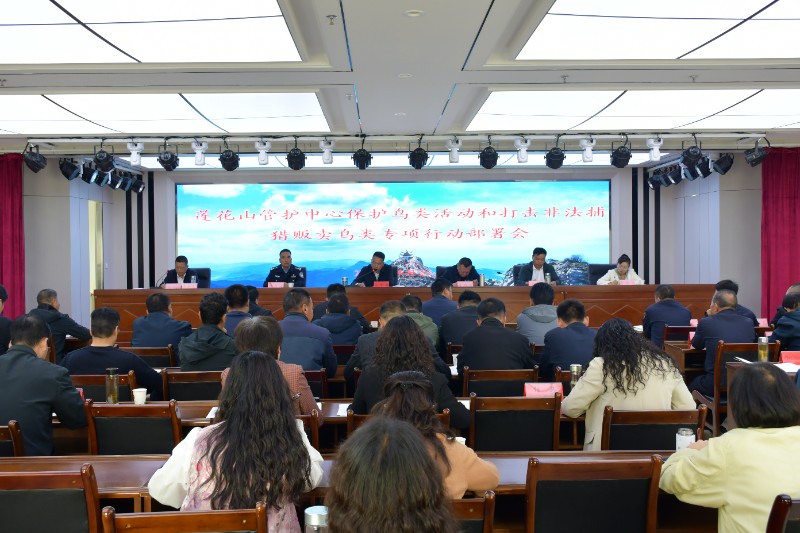 1758858114680134.jpg 26.jpg