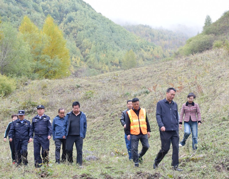 1760085130322842.jpg 10...10.JPG