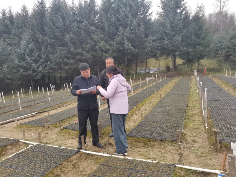 1761011464746963.jpg mmexport1760959166167.jpg