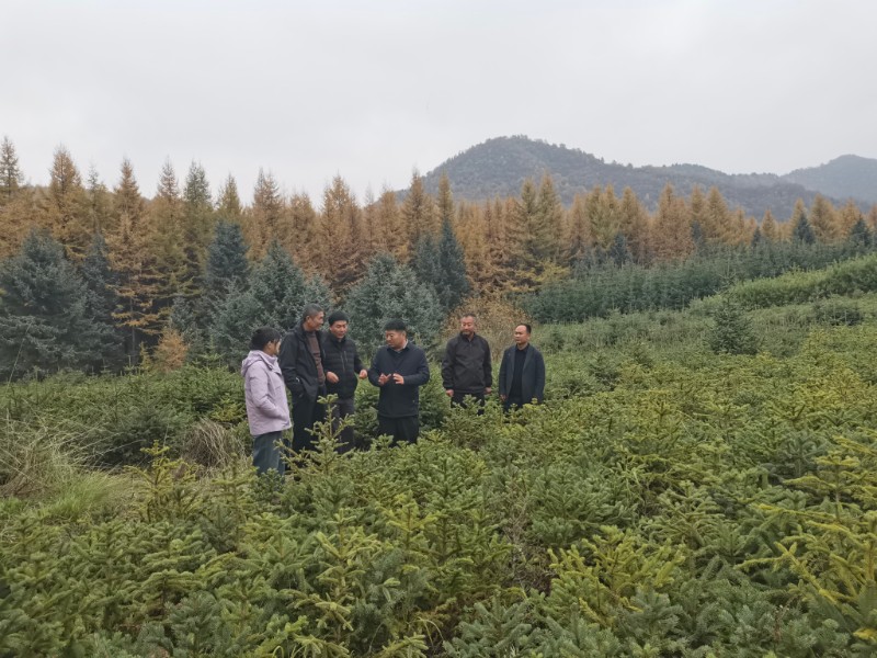 1761011474976624.jpg mmexport1760959170414.jpg