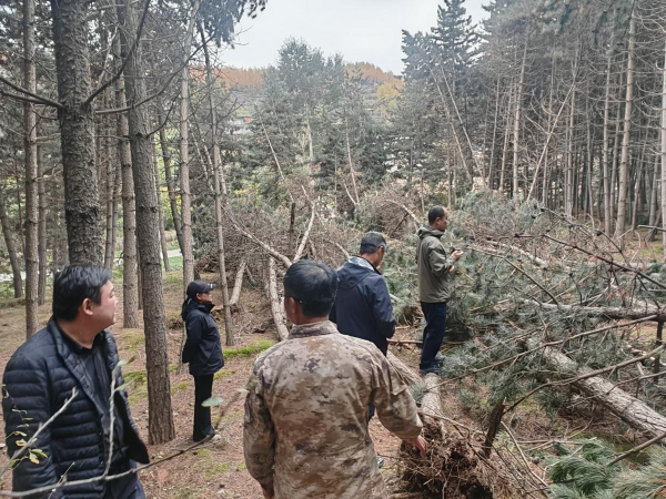 1762744365547701.png 001.png