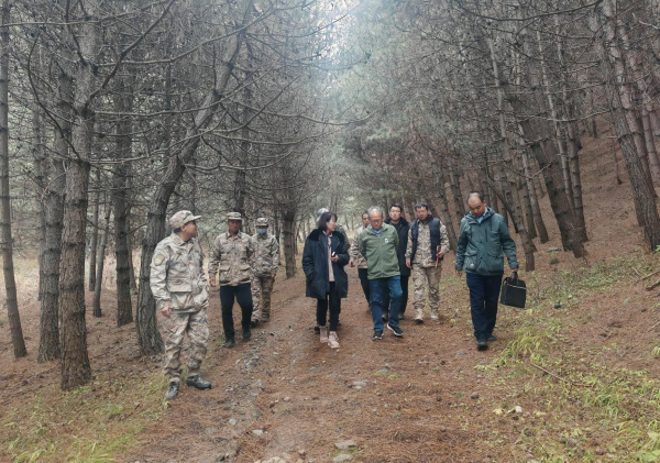 1762744425570663.png 002.png