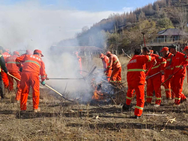 1763020555958571.png 31.png