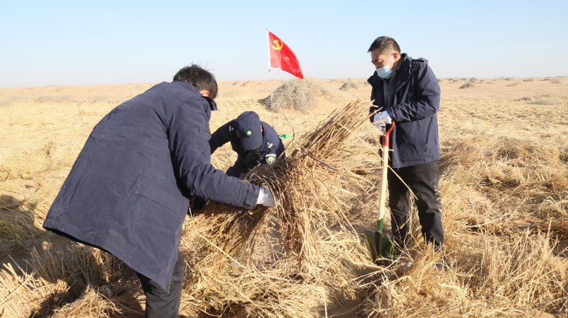 1763978230278433.jpg 3P3A3572.JPG