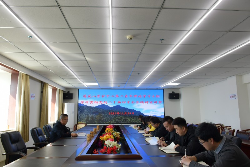 1764031527260692.jpg 25.jpg