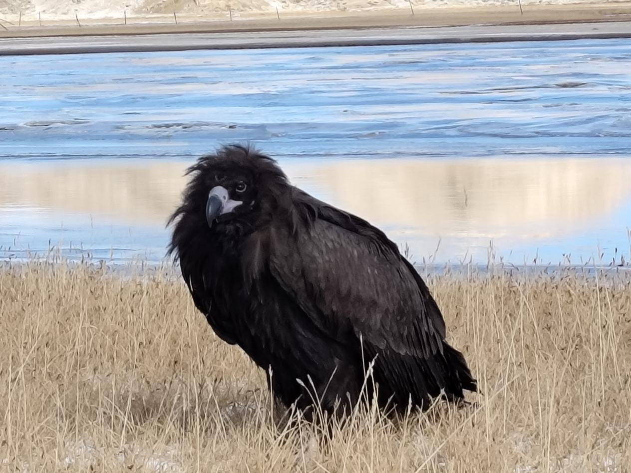 1764208483351616.png 图片1.png