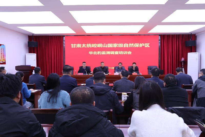 1764311848642183.jpg 0H6A4621.JPG