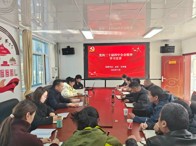 1764636713629075.jpg 12.2.jpg