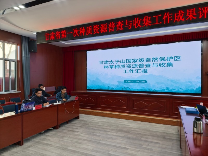 1764726801986825.jpg mmexport1764726420920.jpg