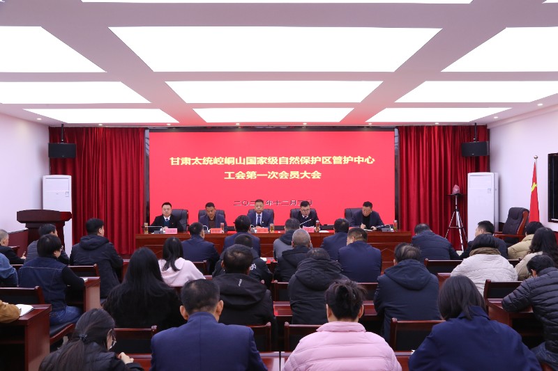 1764753480761382.jpg 0H6A5398.JPG