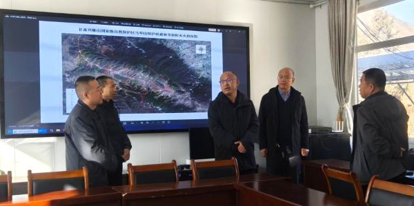 1765421017578955.jpg 002.jpg