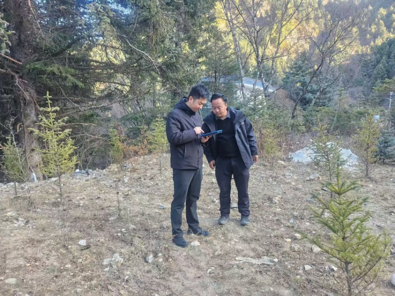 1765435907133691.jpg 12.11.jpg