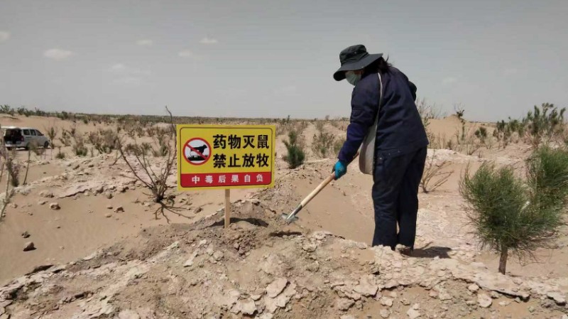 1770879988686375.jpg 2.12-3.jpg